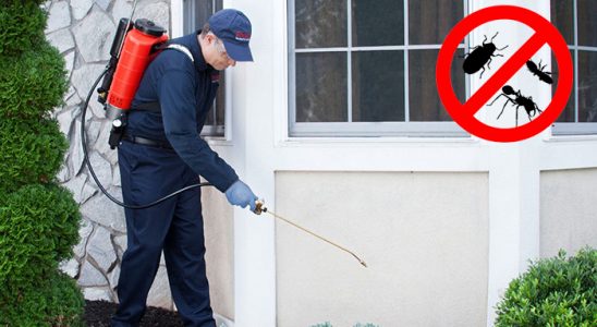 Nizip Karınca İlaçlama böcek ilaçlama ve haşere kontrolü — ilaclama-tr.com